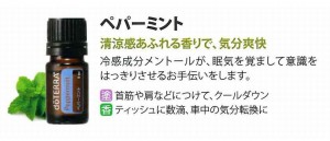 aroma07