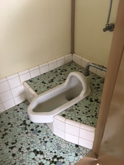 和便器から洋便器へ
